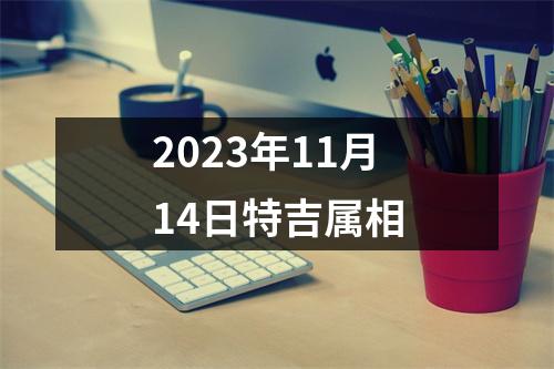 2025年11月14日特吉属相