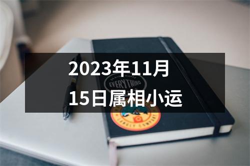 2025年11月15日属相小运