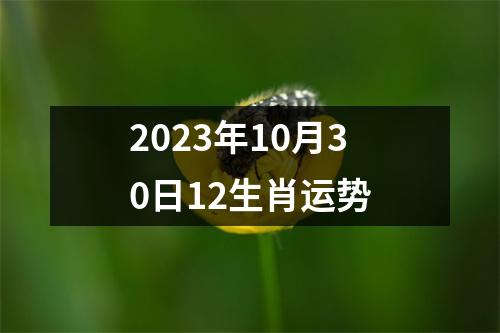 2025年10月30日12生肖运势