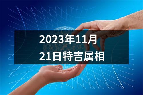 2025年11月21日特吉属相