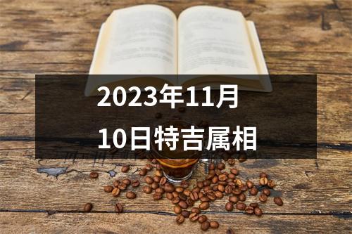 2025年11月10日特吉属相