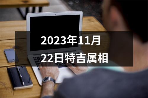 2025年11月22日特吉属相