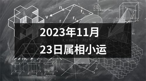 2025年11月23日属相小运