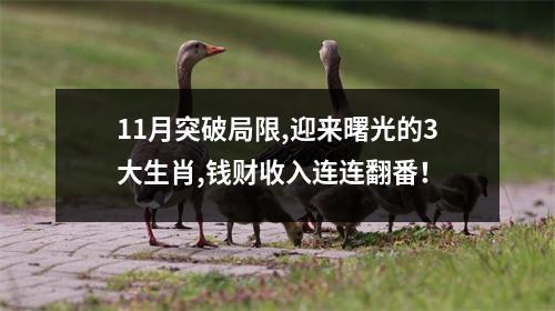 11月突破局限,迎来曙光的3大生肖,钱财收入连连翻番！
