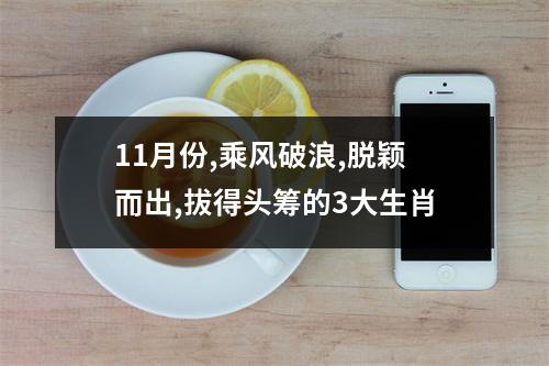 11月份,乘风破浪,脱颖而出,拔得头筹的3大生肖