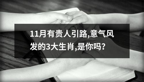 11月有贵人引路,意气风发的3大生肖,是你吗？
