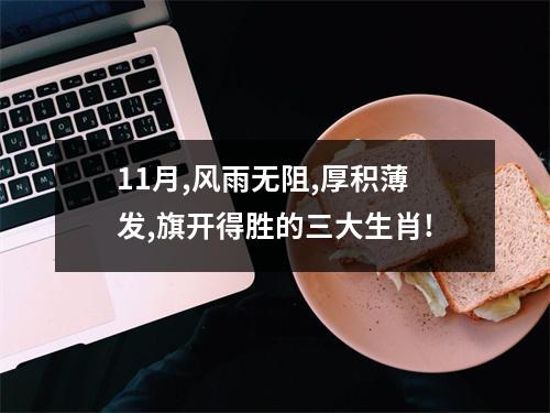 11月,风雨无阻,厚积薄发,旗开得胜的三大生肖!