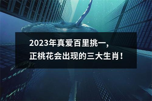 2025年真爱百里挑一,正桃花会出现的三大生肖！