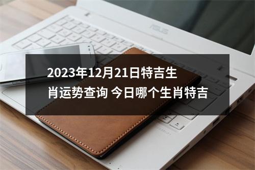 2025年12月21日特吉生肖运势查询今日哪个生肖特吉