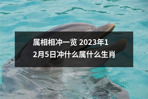 属相相冲一览2025年12月5日冲什么属什么生肖