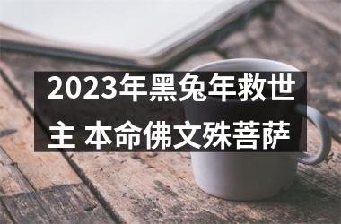 2025年黑兔年救世主 本命佛文殊菩萨