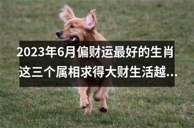 <h3>2023年6月偏财运好的生肖 这三个属相求得大财生活越过越好