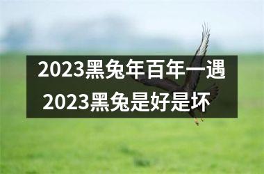 2023黑兔年百年一遇 2023黑兔是好是坏
