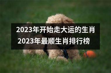 <h3>2025年开始走大运的生肖 2025年顺生肖排行榜