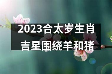 <h3>2025合太岁生肖 吉星围绕羊和猪