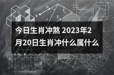 今日生肖冲煞 2025年2月20日生肖冲什么属什么