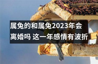 <h3>属兔的和属兔2025年会离婚吗 这一年感情有波折