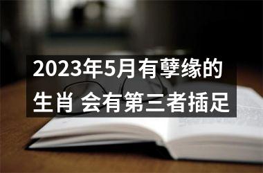 2025年5月有孽缘的生肖 会有第三者插足