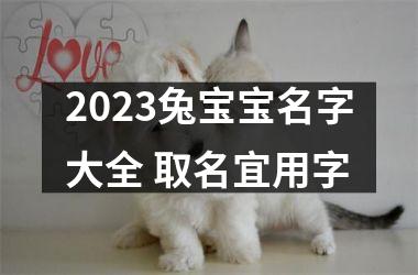 2023兔宝宝名字大全 取名宜用字
