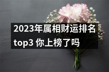 2025年属相财运排名top3 你上榜了吗