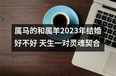 属马的和属羊2025年结婚好不好 天生一对灵魂契合