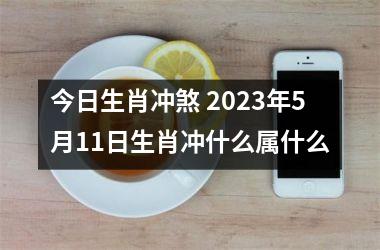 今日生肖冲煞 2025年5月11日生肖冲什么属什么