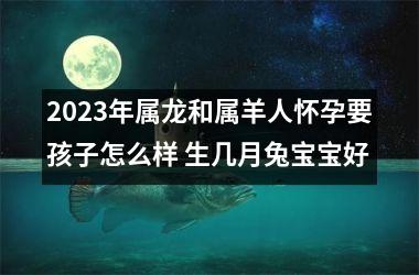 2025年属龙和属羊人怀孕要孩子怎么样 生几月兔宝宝好