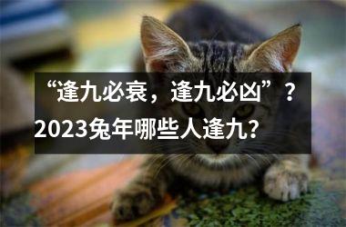 “逢九必衰，逢九必凶”？ 2025兔年哪些人逢九？