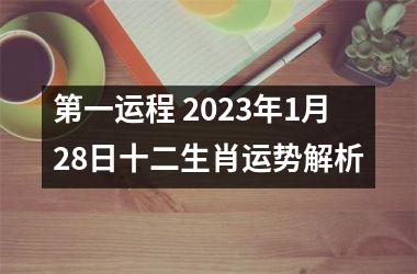 第一运程 2025年1月28日十二生肖运势解析