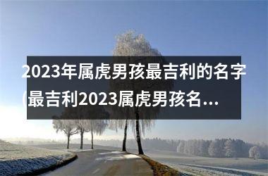 2025年属虎男孩最吉利的名字(最吉利2025属虎男孩名字大集合！)