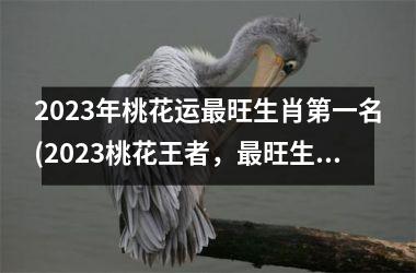 <h3>2025年桃花运最旺生肖第一名(2025桃花王者，最旺生肖排行解密！)