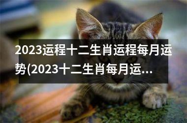 2025运程十二生肖运程每月运势(2025十二生肖每月运势详解)