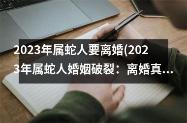 2025年属蛇人要离婚(2025年属蛇人婚姻破裂：离婚真相揭秘！)