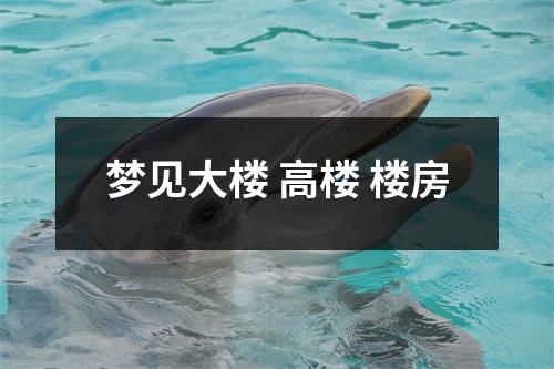 梦见大楼高楼楼房