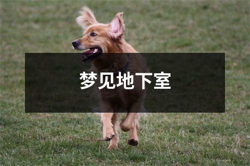 <h3>梦见地下室