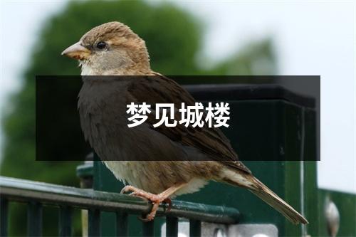 <h3>梦见城楼