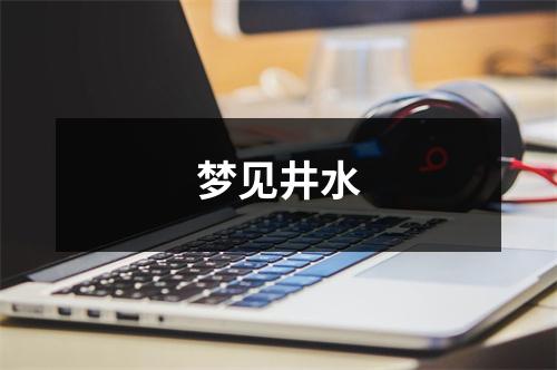 <h3>梦见井水