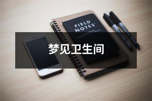 <h3>梦见卫生间