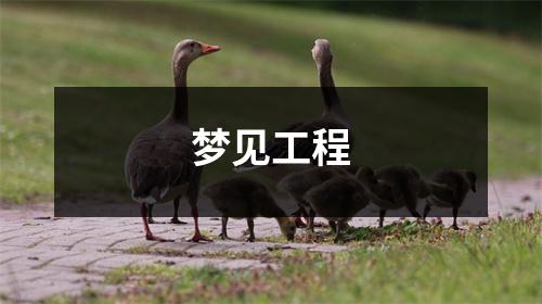 梦见工程