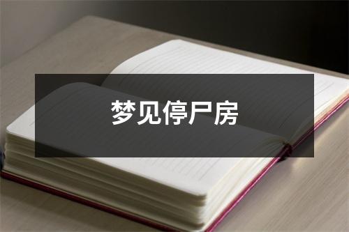 <h3>梦见停尸房