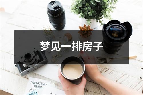 <h3>梦见一排房子