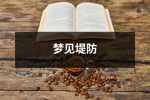 梦见堤防