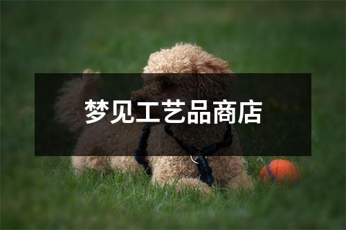 <h3>梦见工艺品商店