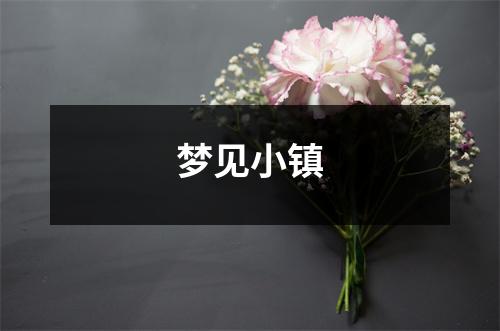 <h3>梦见小镇
