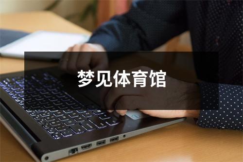 <h3>梦见体育馆