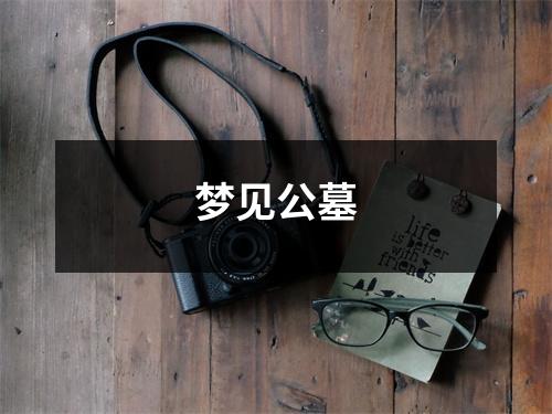 <h3>梦见公墓