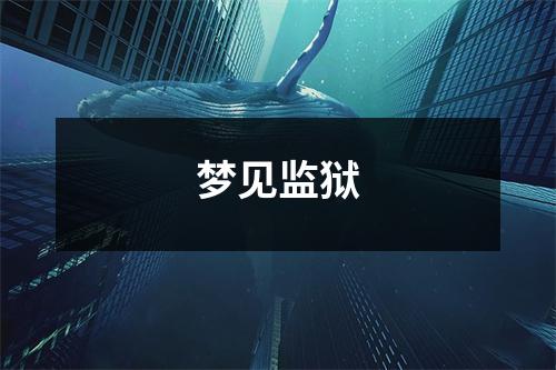 <h3>梦见监狱