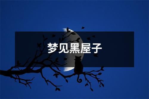 <h3>梦见黑屋子