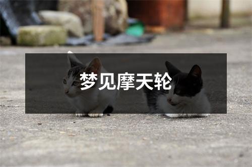 <h3>梦见摩天轮