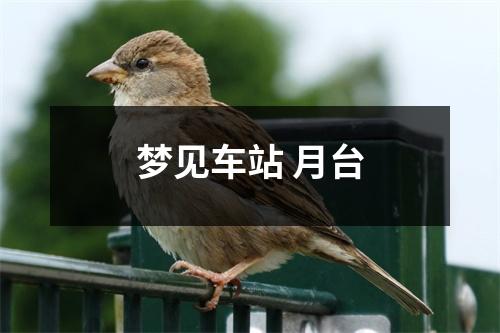 梦见车站月台